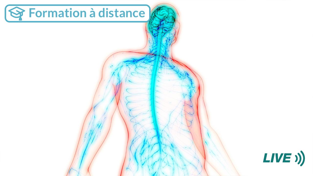 CFPCO Post-grade online - Anatomie fonctionnelle du nerf vague &  neuro-immunologie. Comment agir sur eux ?